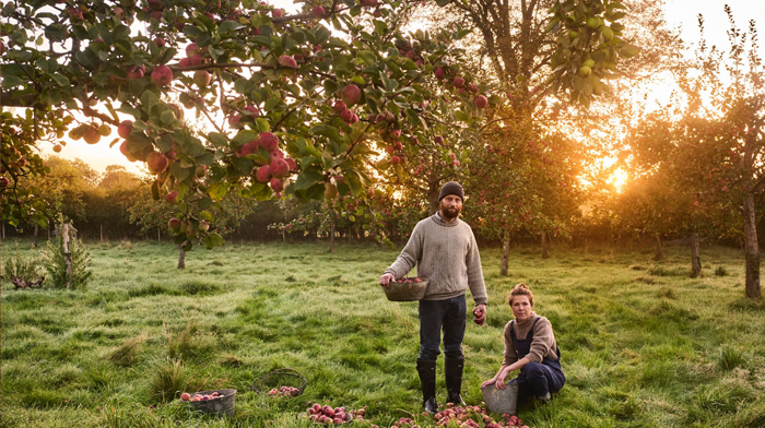 Wilding Cider