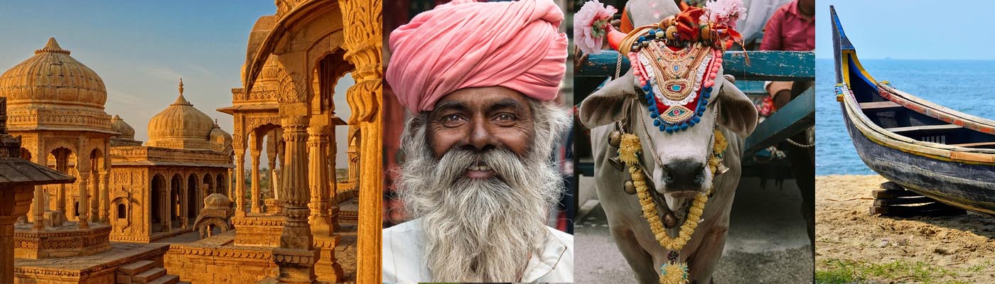India Feedback 