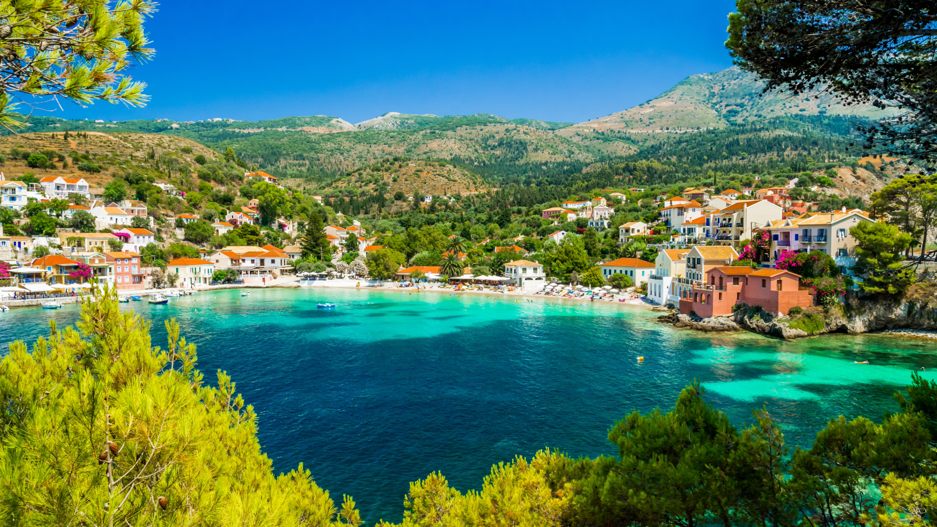 Gerald Durrell Week in Corfu  2025