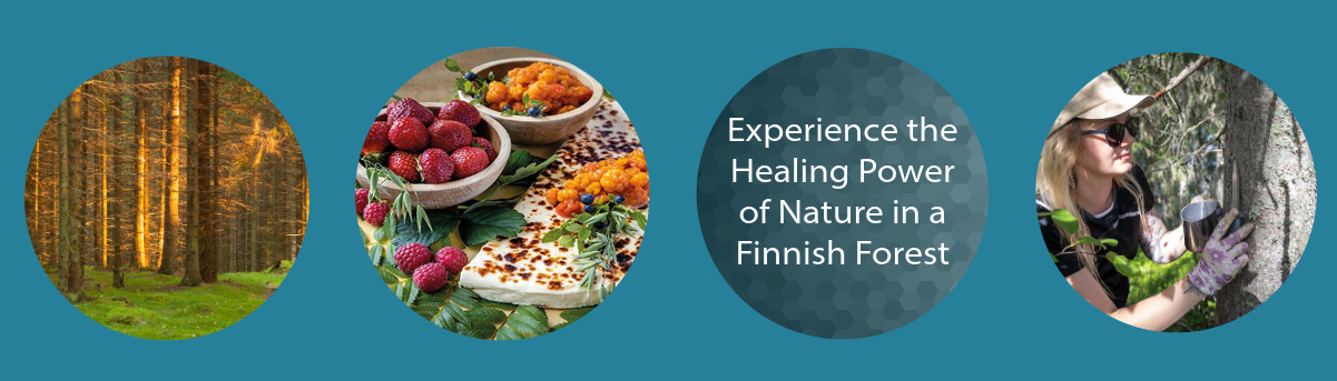 Experience the Healing Power of Nature in a Finnish Forest