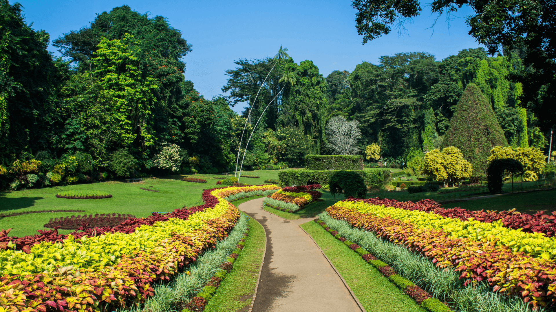 Botanic Gardens Sri Lanka