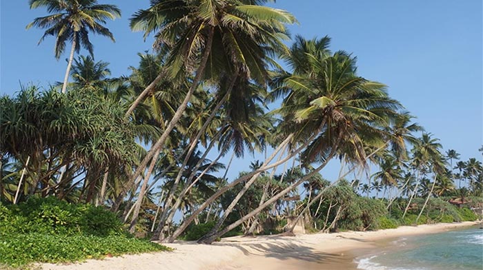 sri-lanka-sweeping coastal beauty