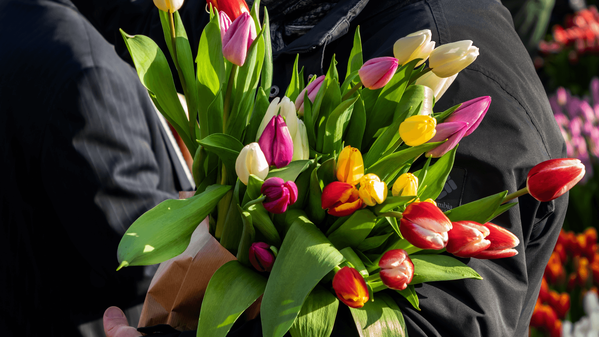 National Tulip Day Amsterdam January 2027