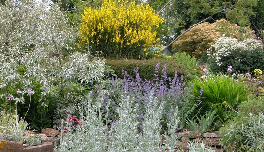East Lambrook Manor Gardens