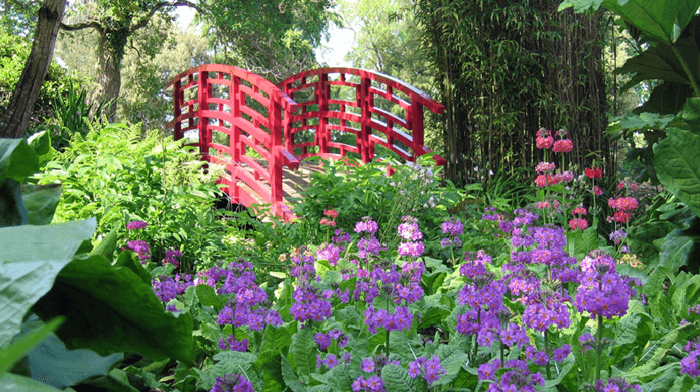 Gardens of West Country with Glenis Smith3