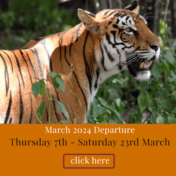 LOM March travel dates