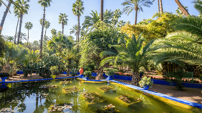 Majorelle Garden Marrakech Islamic Garden