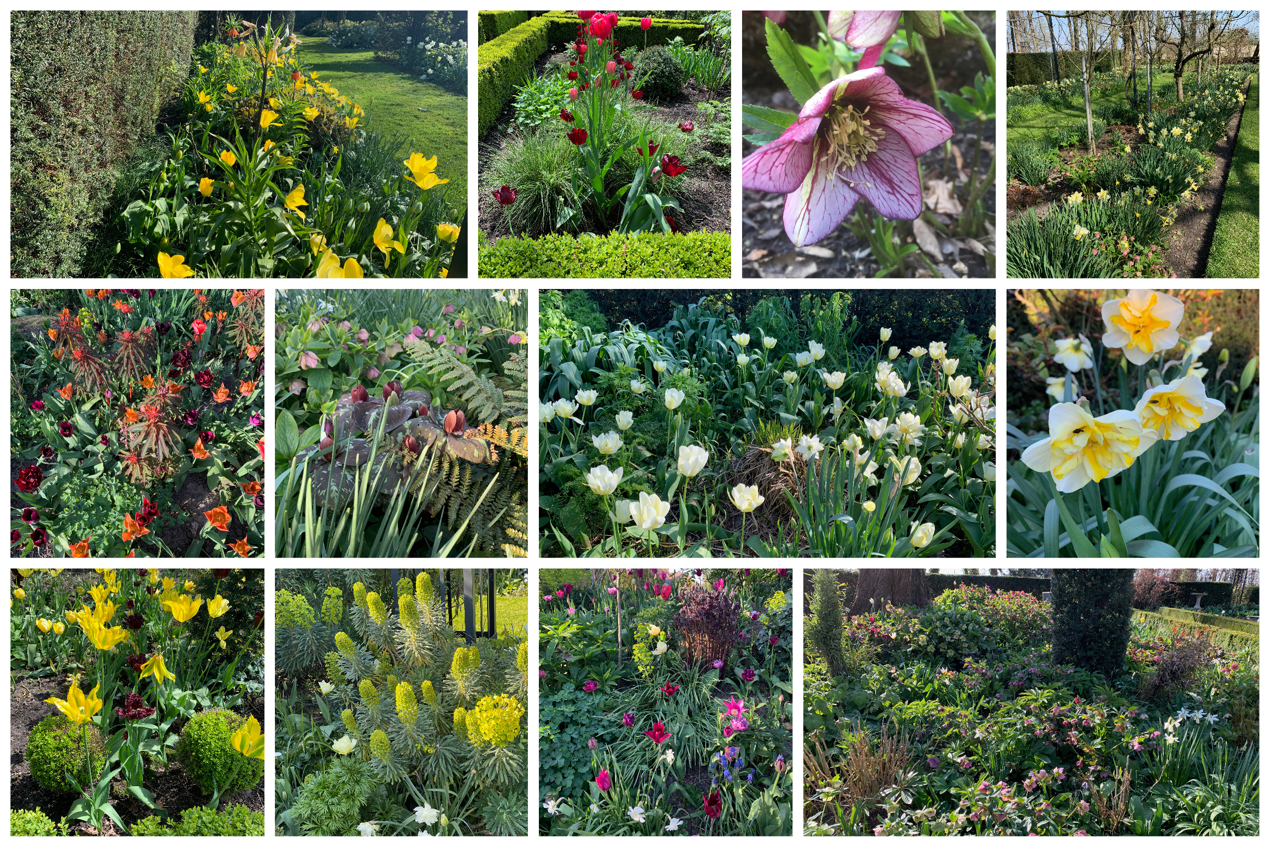 Pegasushof Garden flowers plants spring