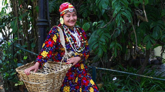  Travel to India. North East India Visit Darjeeling Tea Plantation