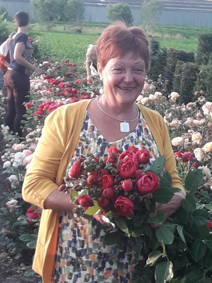 Annick Mertens rose field