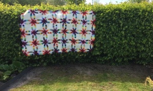 Arja Kolmer, Netherlands. 'Wedding Ring' quilt. In October last year we celebrated our 50th wedding anniversary. Alas, the quilt was not finished! During the Covid19-lockdown it became an AFO.