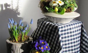 Laura Hunt, Moreton Morrell College, Springing Indoors