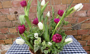 Laura Hunt, Moreton Morrell College, The Tulip Garden