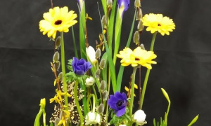 Sally Mawson, Moreton Morrell College, Spring Parallel Arrangement 